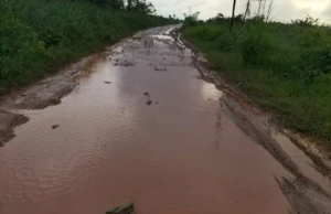 Jalan Seperti Kubangan, Warga Peniti Dalam I Minta Perhatian Pemerintah