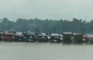 Menyoal PETI di Sintang, Pemkab Dinilai Tutup Mata