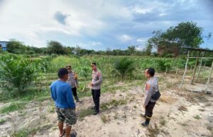 Polisi dan Petani Bersinergi Cek Lahan Jagung untuk Ketahanan Pangan