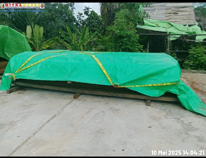 Polsek Benua Kayong Amankan Barang Bukti Puluhan Kayu Belian