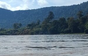 Akibat PETI Habitat Sungai di Sanggau Rusak Parah, Siapa Yang Bertanggungjawab